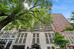 1250 N Dearborn St, Chicago, IL 60610 - Photo 1