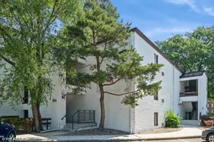 354 W Miner St, Arlington Heights, IL 60005 - Photo 1