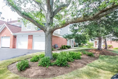 238 Mansfield Way, Roselle, IL 60172 - Photo 1