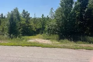 2390 N 4079th Rd, Sheridan, IL 60551 - Photo 1