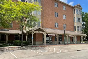 50 N Bokelman Ave, Roselle, IL 60172 - Photo 1