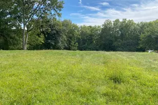 0 Pulaski St, Spring Valley, IL 61362 - Photo 1