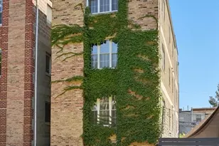 749 S Claremont Ave, Chicago, IL 60612 - Photo 1