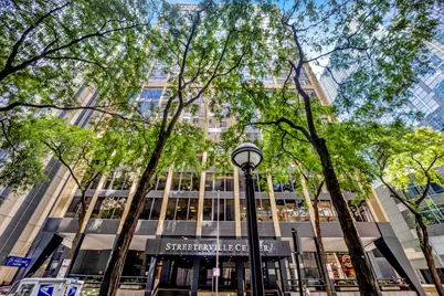 233 E Erie Street #1703, Chicago, IL 60611 - Photo 1