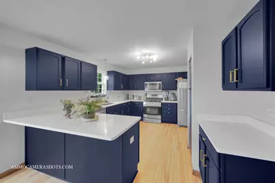 249 Gladiolus Drive, Romeoville, IL 60446 - Photo 1