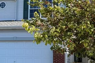 1271 Appaloosa Way, Bartlett, IL 60103 - Photo 1