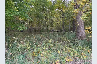 2569 E US 24 Highway, Sheldon, IL 60966 - Photo 1