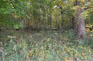 2569 E US 24 Hwy, Sheldon, IL 60966 - Photo 1