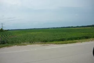 1065 Lot 1 Gorman Rd, Morris, IL 60450 - Photo 1