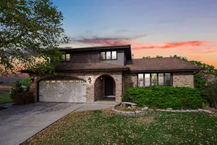 13226 Farm View St, Homer Glen, IL 60491 - Photo 1