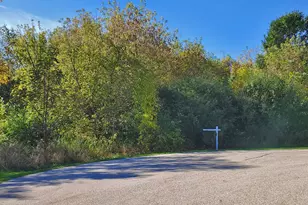 15925 Applewood Ct, Wadsworth, IL 60083 - Photo 1