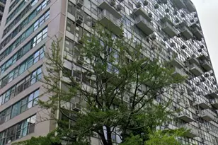 1000 N Lake Shore Dr, Chicago, IL 60611 - Photo 1