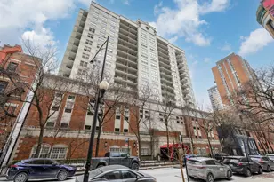 21 W Chestnut St, Chicago, IL 60610 - Photo 1