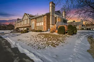 17550 Drummond Dr, Tinley Park, IL 60487 - Photo 1