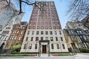 73 E Elm St, Chicago, IL 60611 - Photo 1