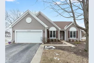 1329 Amaranth Drive, Naperville, IL 60564 - Photo 1