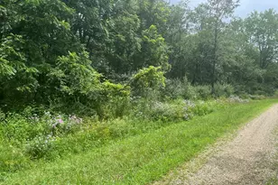 28 Cedar Ln, Putnam, IL 61560 - Photo 1