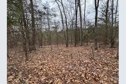 000 Indian Creek Drive, Orangeville, IL 62939 - Photo 1