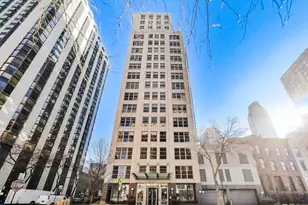 1035 N Dearborn St, Chicago, IL 60610 - Photo 1