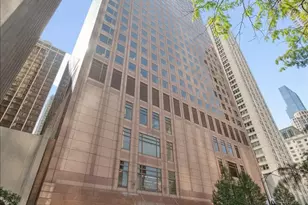 161 E Chicago Ave, Chicago, IL 60611 - Photo 1