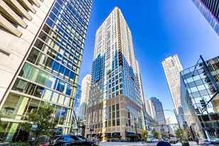 2 E Erie St, Chicago, IL 60611 - Photo 1