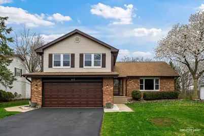 313 Bayberry Drive, Algonquin, IL 60102 - Photo 1