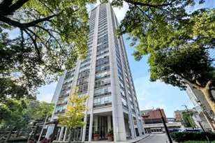 70 W Burton Pl, Chicago, IL 60610 - Photo 1