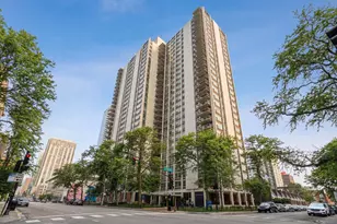 1255 N Sandburg Terrace, Chicago, IL 60610 - Photo 1