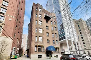 20 E Goethe St, Chicago, IL 60610 - Photo 1
