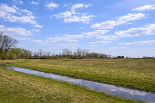 24732 S Murphy Ln, Monee, IL 60449 - Photo 1