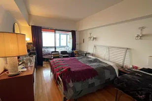 175 E Delaware Pl, Chicago, IL 60611 - Photo 11