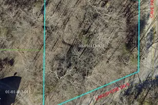 00 Lake Shore Dr S, Orangeville, IL 62939 - Photo 1