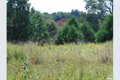 47 Wilkins Road, Harrisburg, IL 62946 - Photo 1