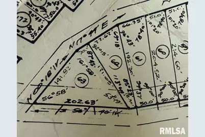 1390 Eagle Point Bay Road, Orangeville, IL 62939 - Photo 1