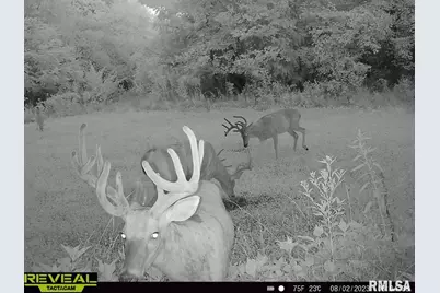 000 County 7 Highway, Cisne, IL 62823 - Photo 1