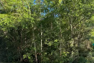 6361 Glory Ave, Milton, FL 32583 - Photo 1