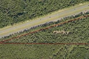 000 Big Buck Rd, Harold, FL 32563 - Photo 1