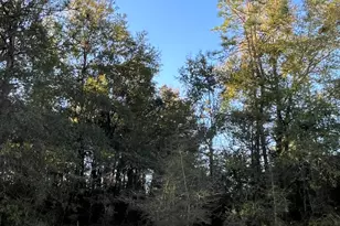 00000 S Lakeview Dr S, Crestview, FL 32536 - Photo 1