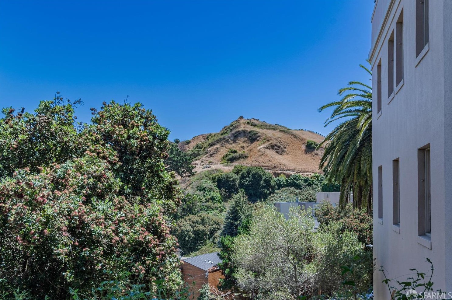 351 Buena Vista Ave, San Francisco CA  94117-4178 exterior