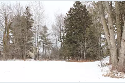 +/- 0.76 Acres State Highway 64, Medford, WI 54451 - Photo 5