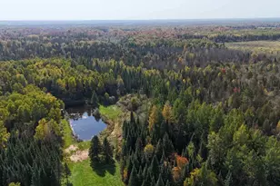 W5817 W Old 8 Road W, Prentice, WI 54556 - Photo 47