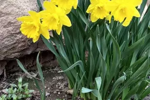 N4443 Crappie Rd, Medford, WI 54451 - Photo 47