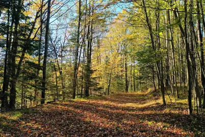 N5317 County Road E, Medford, WI 54451 - Photo 7