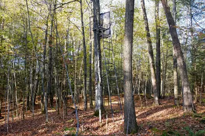 N5317 County Road E, Medford, WI 54451 - Photo 11