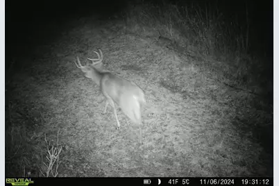 120 Acres Stettin Drive, Wausau, WI 54401 - Photo 37