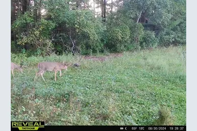 120 Acres Stettin Drive, Wausau, WI 54401 - Photo 47