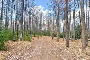 N13038 Hicks Landing Rd, Fifield, WI 54524 - Photo 51