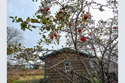 6163 Mill Road, Arpin, WI 54410 - Photo 5