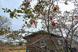 6163 Mill Rd, Arpin, WI 54410 - Photo 5