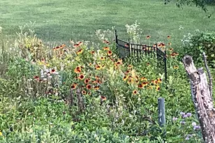 169003 Shorewood Dr, Rosholt, WI 54473 - Photo 55